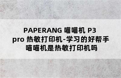 PAPERANG 喵喵机 P3 pro 热敏打印机-学习的好帮手 喵喵机是热敏打印机吗